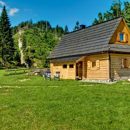 Jedroskowe Chatki Witów Exteriör bild