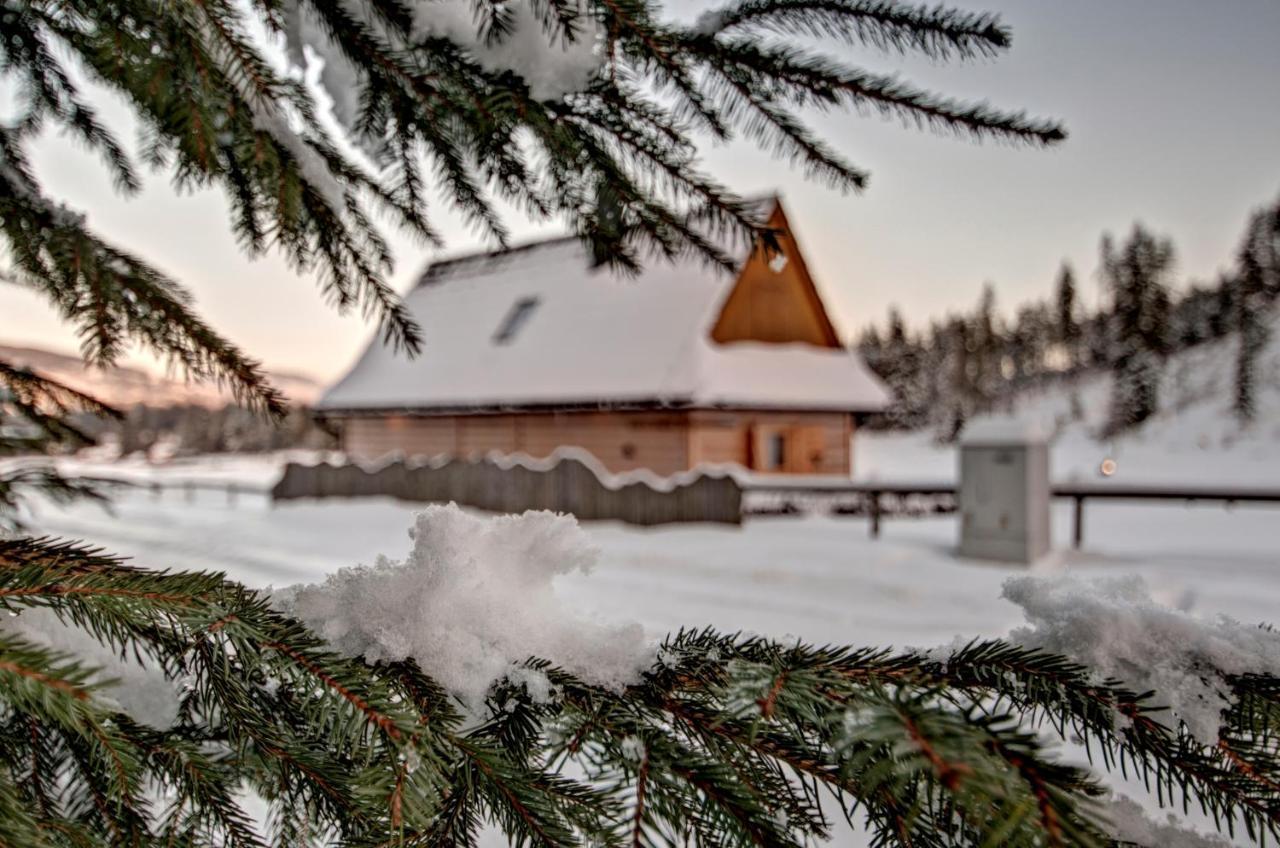 Jedroskowe Chatki Witów Exteriör bild