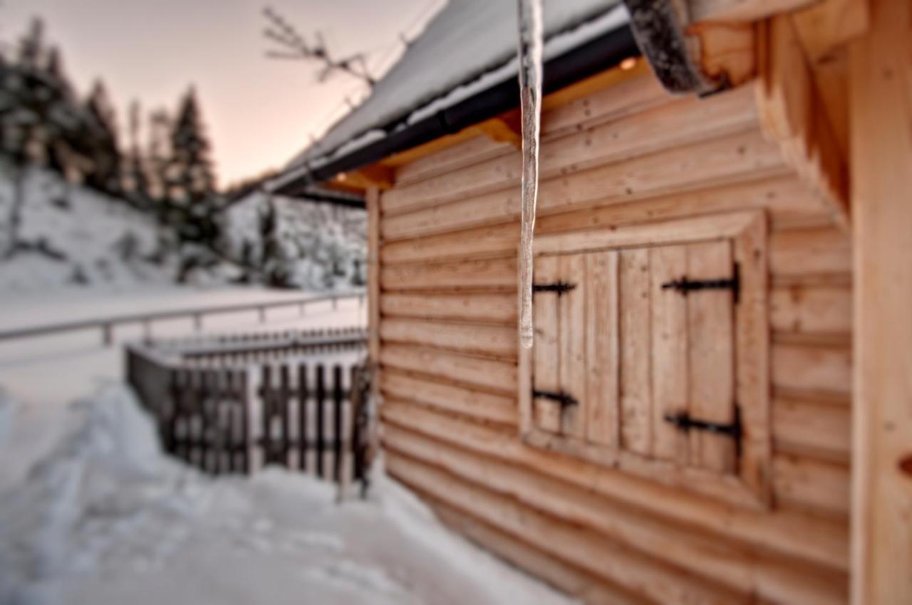 Jedroskowe Chatki Witów Exteriör bild