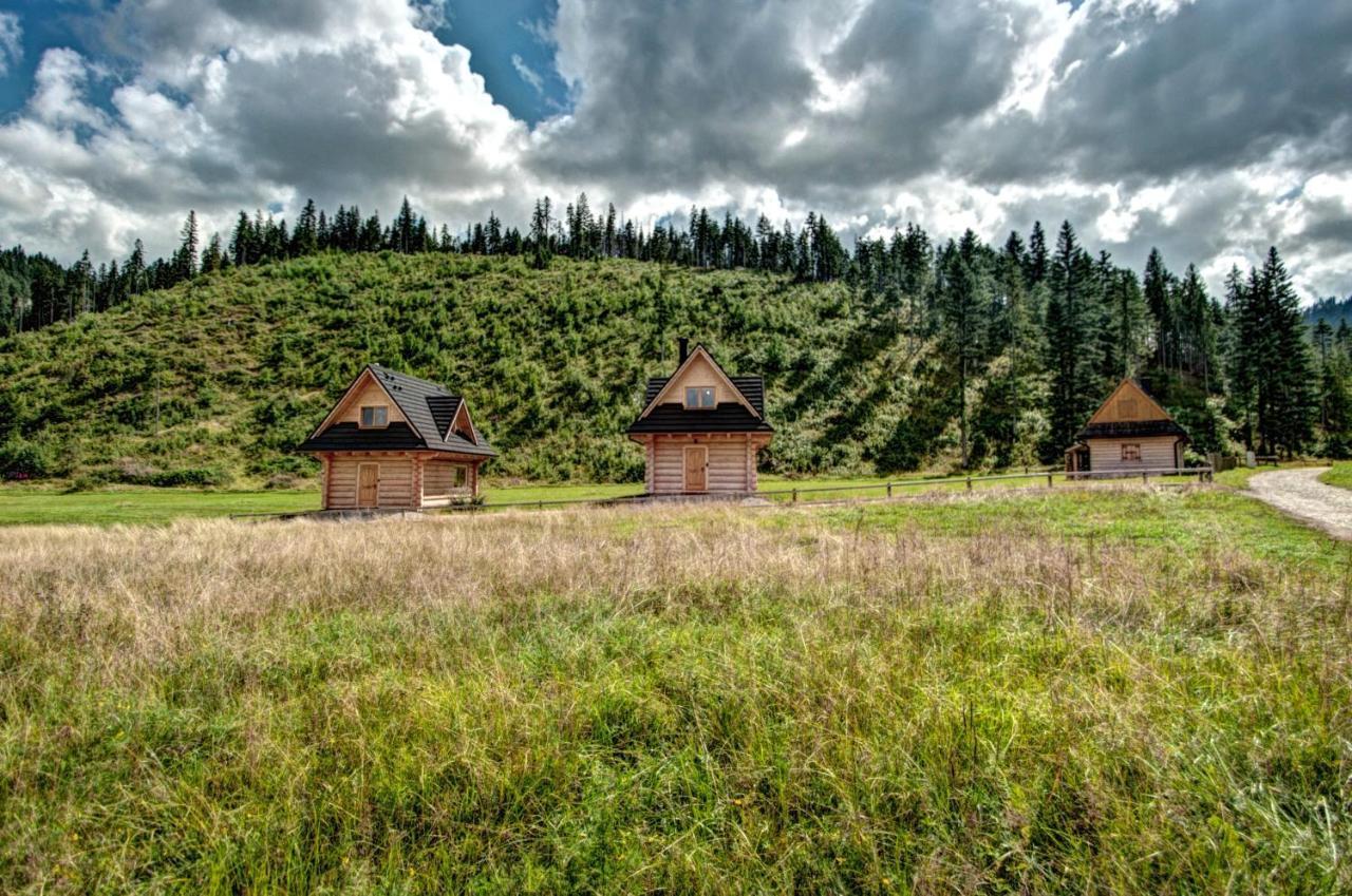 Jedroskowe Chatki Witów Exteriör bild
