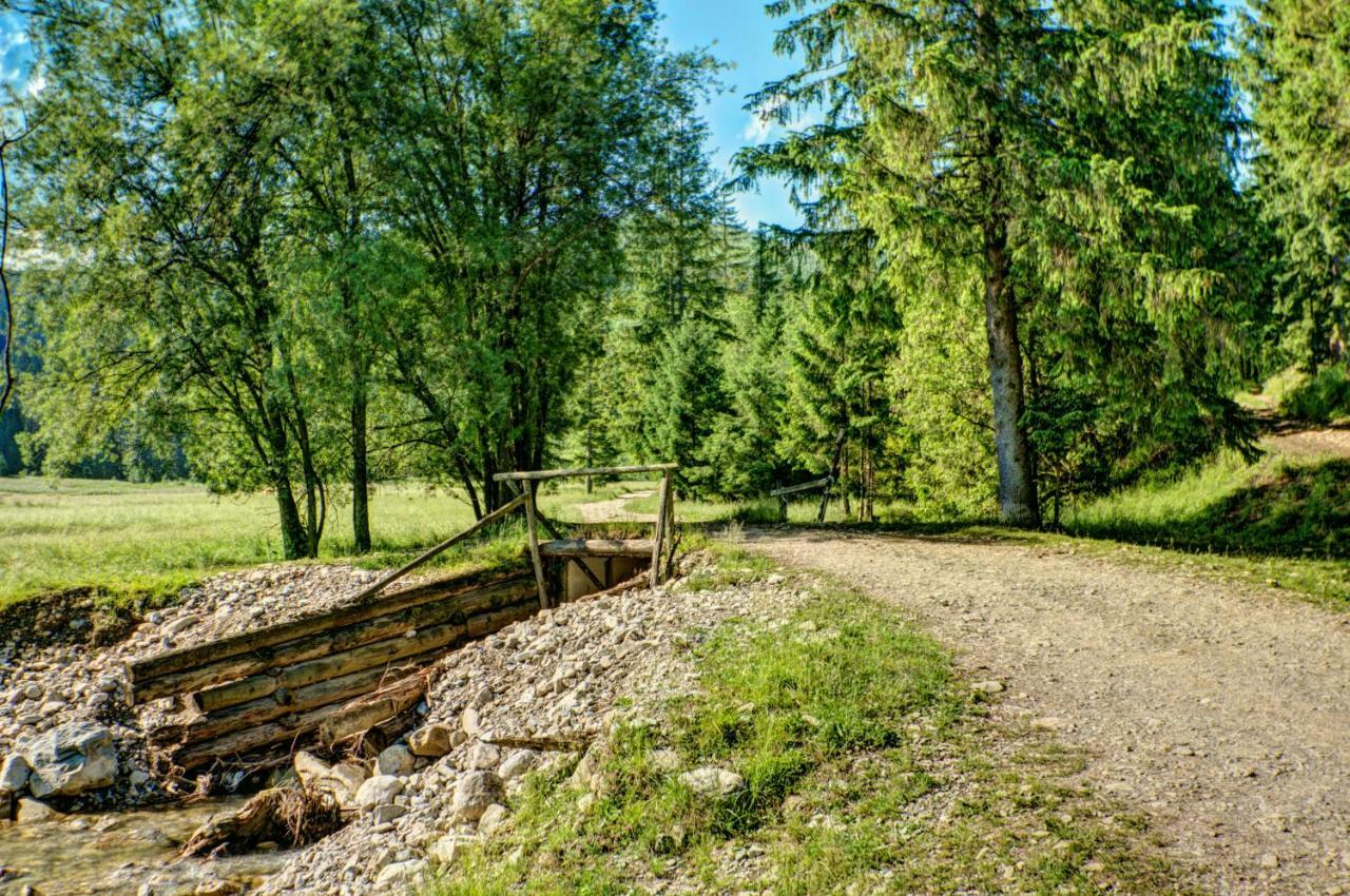 Jedroskowe Chatki Witów Exteriör bild