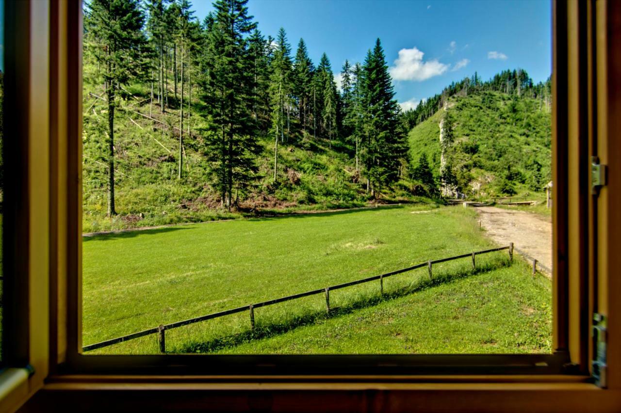 Jedroskowe Chatki Witów Exteriör bild